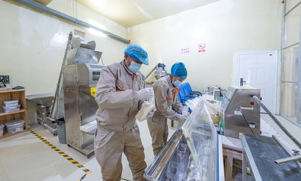 牢牢守住不發(fā)生規(guī)模性返貧致貧底線(xiàn)——西部脫貧地區(qū)“5年過(guò)渡期”一線(xiàn)觀(guān)察