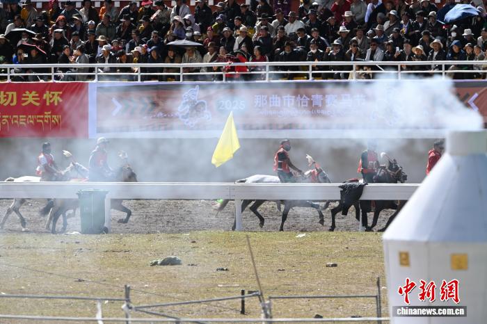 西藏那曲恰青賽馬節(jié)：速度與耐力的草原盛宴