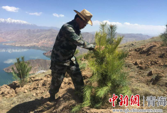 圖為尖扎干部職工生態(tài)建設(shè)和環(huán)境保護(hù)現(xiàn)場(chǎng)。尖宣 供圖