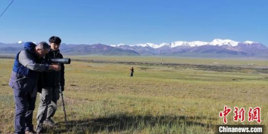 圖為工作人員正在進(jìn)行黑頸鶴衛(wèi)星跟蹤和環(huán)志工作?！∑钸B山國家公園青海省管理局供圖 攝