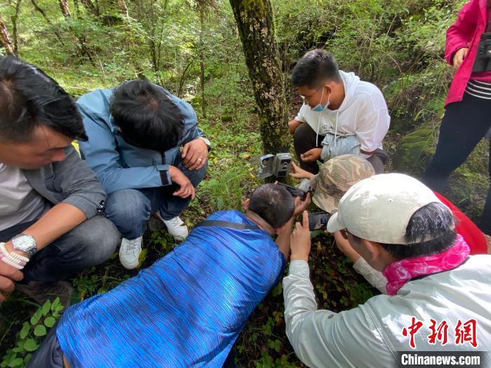 圖為訪客正在查看紅外相機(jī)中的拍攝畫面。　李江寧 攝