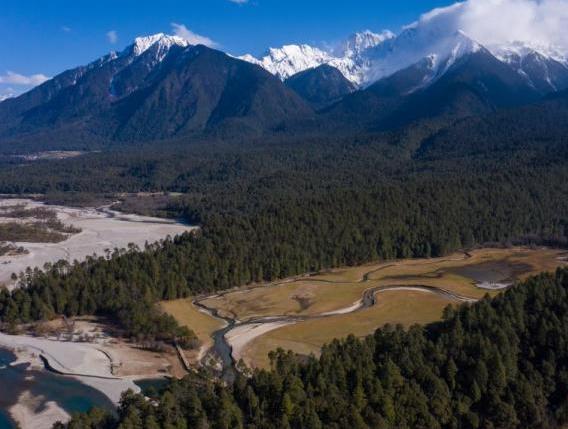 資料圖：西藏崗云杉林與遠處的雪峰。 何蓬磊 攝
