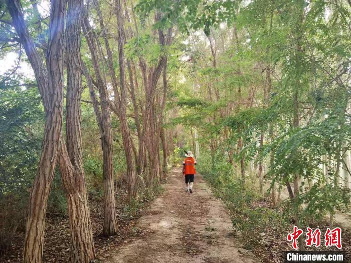 戈壁灘上的護(hù)林員：以前風(fēng)吹睜不開(kāi)眼，現(xiàn)在滿眼皆綠色