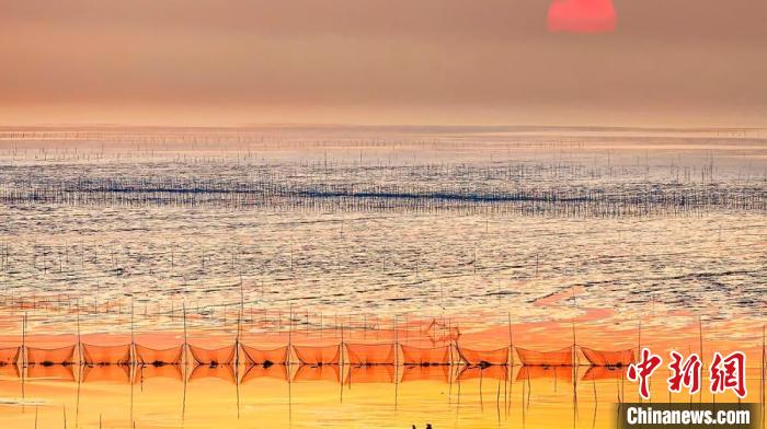 江蘇鹽城被譽為金灘銀蕩、魚米之鄉(xiāng)?！←}城市委宣傳部供圖