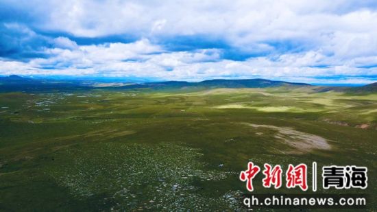 圖為長江南源沼澤濕地。李江寧攝