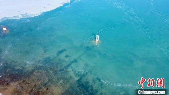 圖為冬日青海湖?！±罱瓕帯z