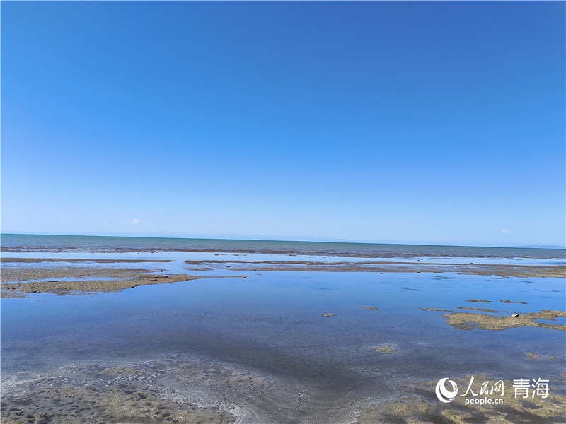   青海湖仙女灣。人民網(wǎng) 張莉萍攝