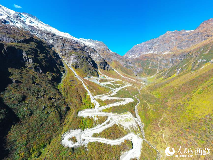 圖為西藏林芝市墨脫縣境內，植被隨山體升高而變化。