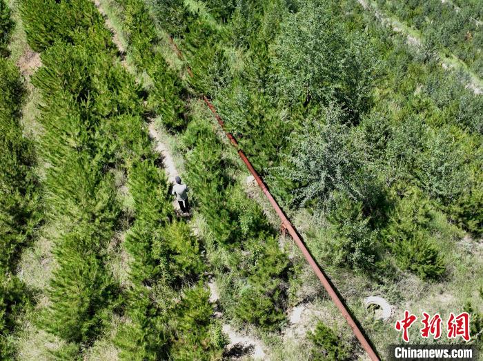 航拍建行青海省分行綠化區(qū)施工隊(duì)隊(duì)長盧占祥正在巡護(hù)綠化區(qū)?！∑钤鲚?攝