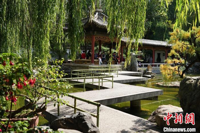 圖為西寧園林植物園秋日風景別有韻味?！●R銘言 攝