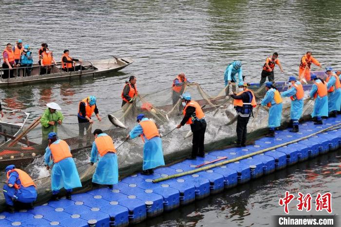 捕撈現(xiàn)場(chǎng)?！≈鬓k方供圖