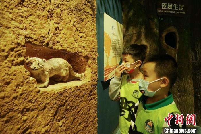 圖為小朋友在青海西寧湟水國家濕地公園科普館內(nèi)參觀學(xué)習(xí)。　馬銘言 攝