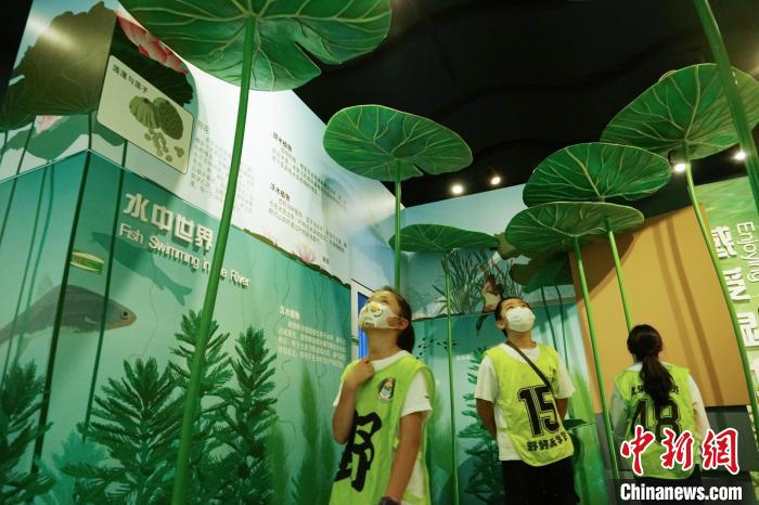 圖為小朋友在青海西寧湟水國家濕地公園科普館內(nèi)參觀學(xué)習(xí)?！●R銘言 攝