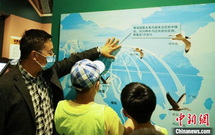 圖為小朋友在青海西寧湟水國家濕地公園科普館內(nèi)參觀學(xué)習(xí)?！●R銘言 攝