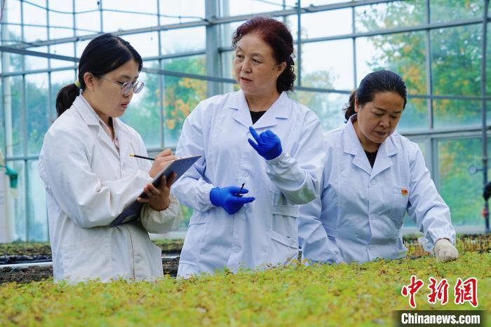 圖為張錦梅(中)與同事在討論數(shù)據(jù)。馬銘言 攝