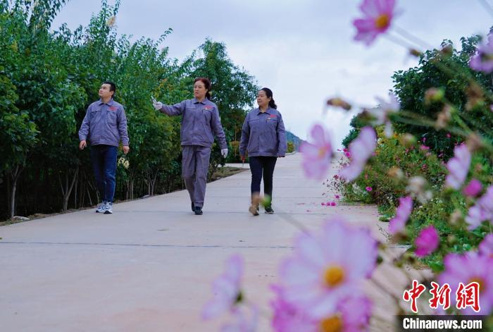 圖為張錦梅(中)與同事在西寧北山查看丁香樹?！●R銘言 攝