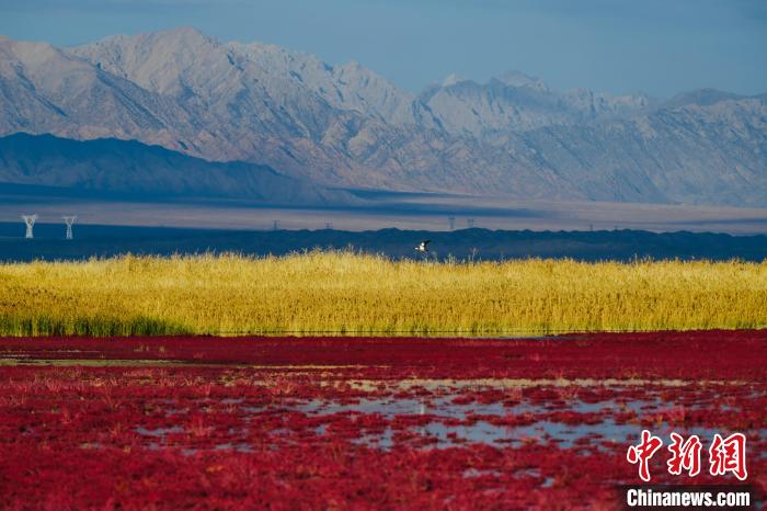 圖為柴達木盆地可魯克湖?！」?攝