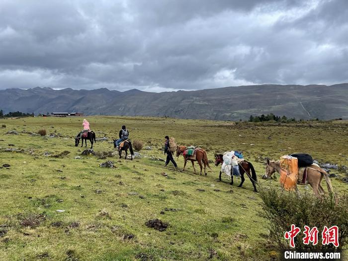 圖為9月26日游客騎馬領(lǐng)略尼汝村高原牧場風光。 <a target='_blank' href='/'><p  align=