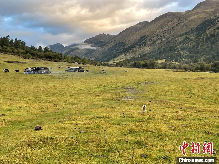 圖為9月27日新沾牧場的早晨景色。 <a target='_blank' href='/'><p  align=