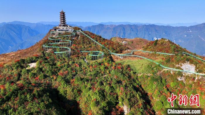 巴山大峽谷彩林迎來最佳觀賞期?！∫κ?攝