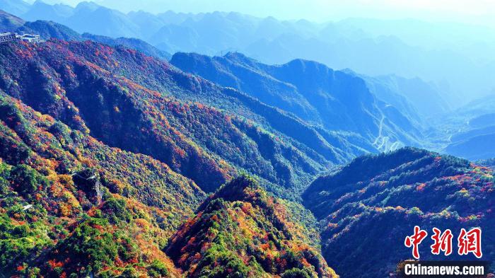 巴山大峽谷彩林迎來最佳觀賞期?！埰?攝