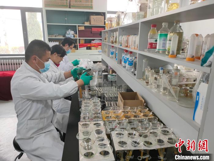 資料圖為研究團(tuán)隊(duì)進(jìn)行樣本檢查。　 青海省畜牧獸醫(yī)科學(xué)院供圖