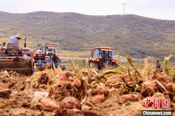 青海東部農(nóng)業(yè)區(qū)：“一分川、一分水、八分山”里“刨金記”