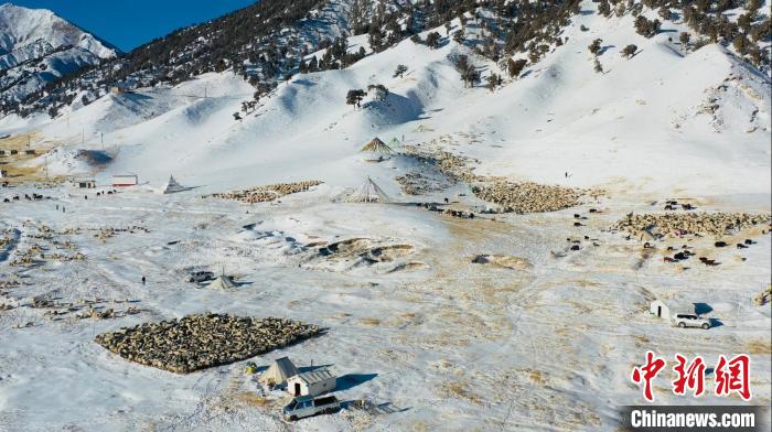 圖為無(wú)人機(jī)航拍牧場(chǎng)。　都蘭縣融媒體中心供圖