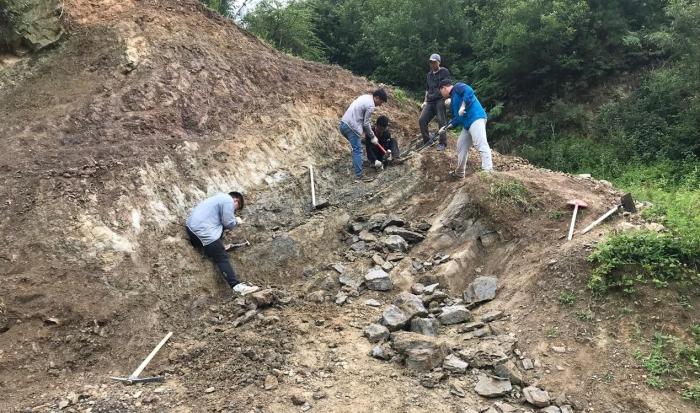 2018年玉海翼角魚野外發(fā)掘采集現(xiàn)場?！∩w志琨 攝