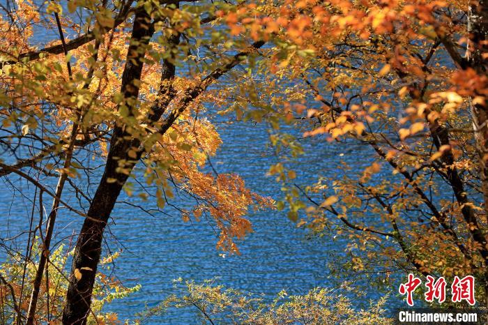 松坪溝風(fēng)光?！⑼?攝