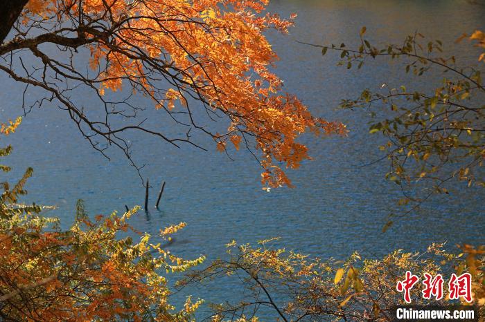 松坪溝風光?！⑼?攝