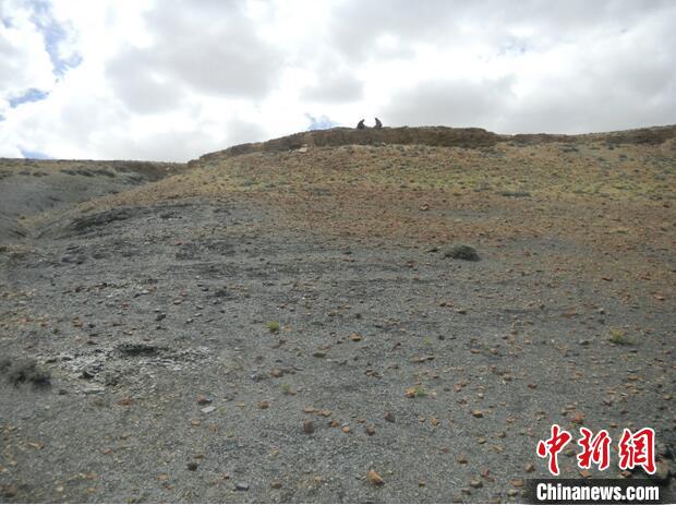 圖為本次研究的藏南曲布剖面二疊紀(jì)末期黑色頁巖。　南古所 供圖