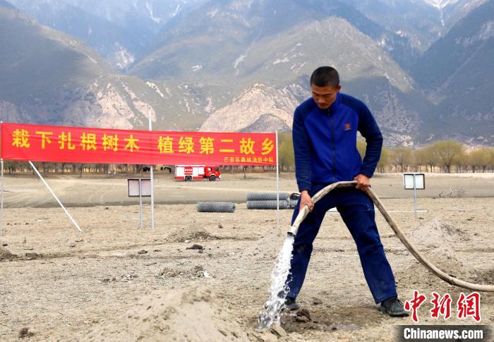林芝市巴宜區(qū)森林消防中隊志愿服務隊澆水灌溉。　西繞拉翁 攝
