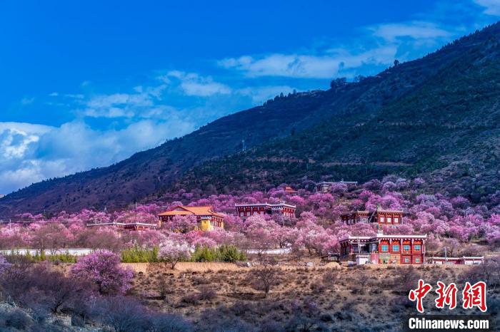 美麗的鄉(xiāng)村畫卷?！『涡秀?攝