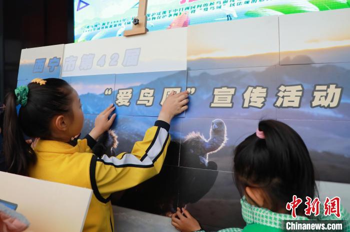 圖為學(xué)生通過(guò)拼圖游戲了解鳥(niǎo)類知識(shí)?！●R銘言 攝