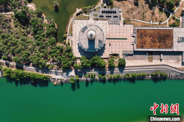 航拍青海貴德黃河岸畔綠意濃濃?！≮w凜松 攝