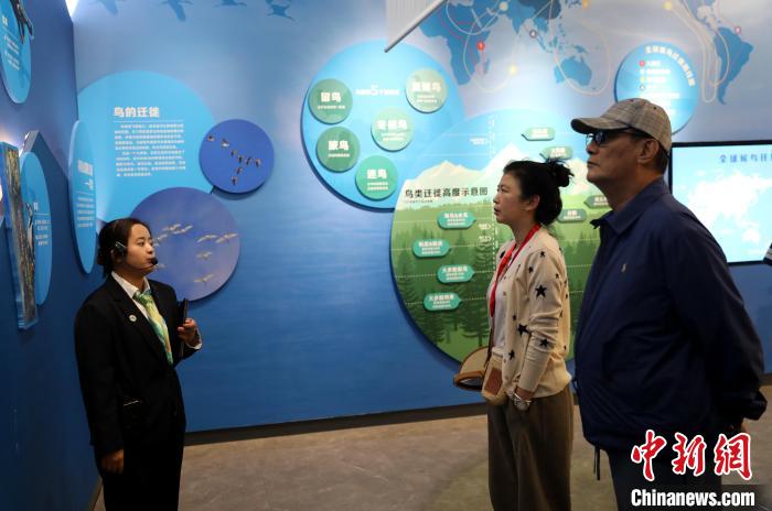 圖為臺(tái)商在祁連山國家公園生態(tài)科普館內(nèi)聆聽講解?！⊙Φ?攝