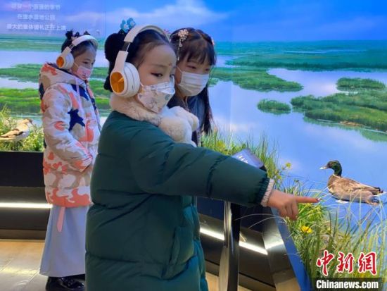 圖為學(xué)生在西寧市第一中學(xué)濕地科普宣教館內(nèi)參觀。　李江寧 攝