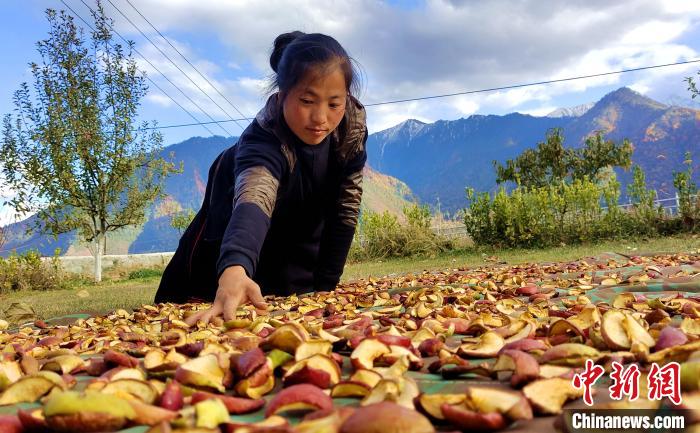 圖為通麥村村民巴桑拉姆晾曬切片蘋果?！∝暽＠?攝