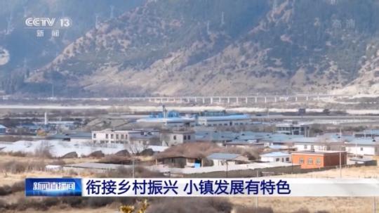 種蘑菇、養(yǎng)駱駝...。。特色產(chǎn)業(yè)助力鄉(xiāng)村振興走新路