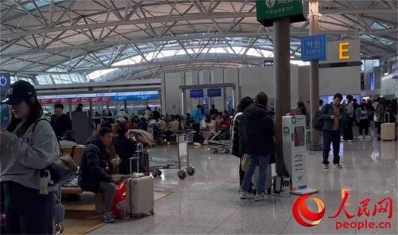 11月29日，繁忙的仁川機場。人民網(wǎng) 李帆攝