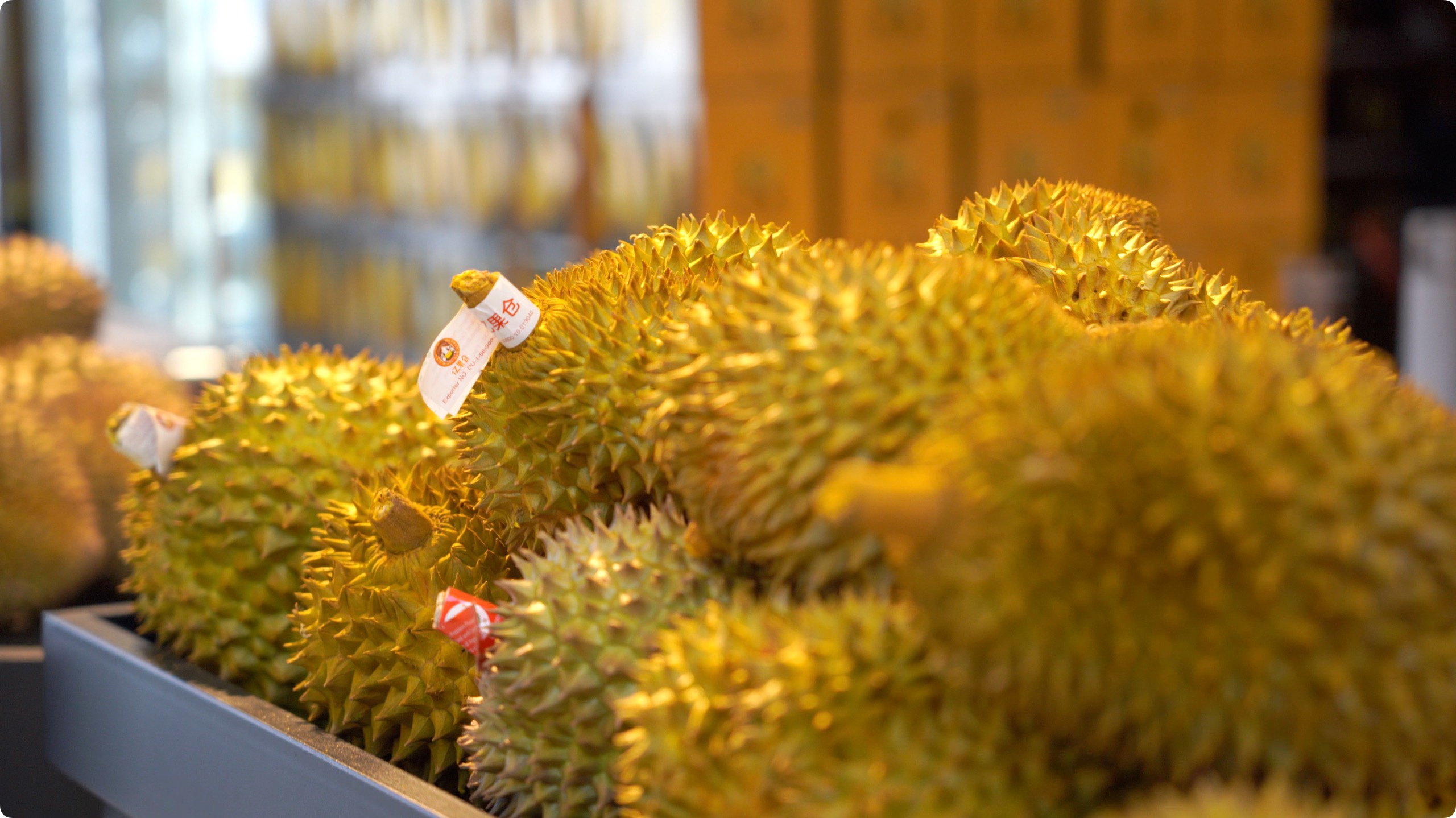 5月初，人民網(wǎng)記者申佳平攝