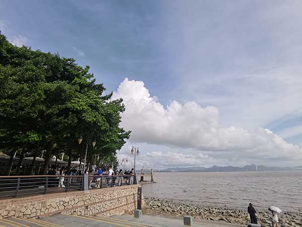 紅樹林灘涂沿線一角。人民網(wǎng)記者 張素玲攝