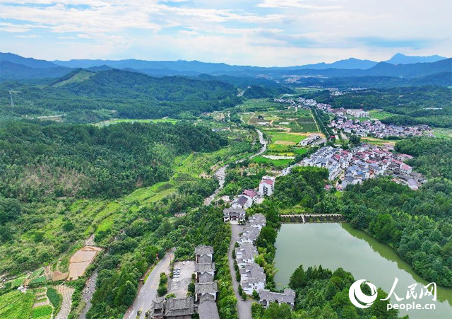 資溪縣森林資源豐富，森林覆蓋率達87.7%，有林地資源168萬畝。人民網(wǎng) 朱海鵬攝