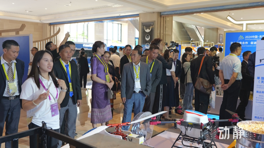 展示成果分享經(jīng)驗(yàn)，中國(guó)—東盟教育交流周深化合作共創(chuàng)未來(lái)！