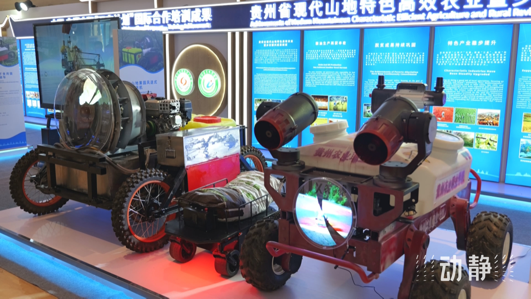 展示成果分享經(jīng)驗(yàn)，中國(guó)—東盟教育交流周深化合作共創(chuàng)未來(lái)！