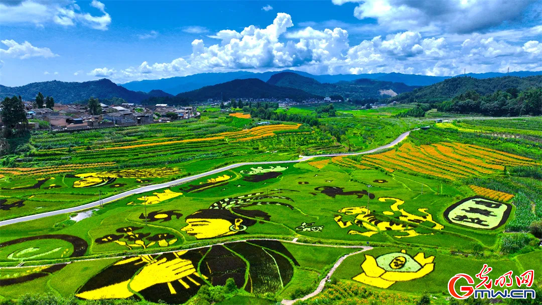 云南清水：延伸公共法律服務(wù)觸角，讓普法與民族團結(jié)進步互促共融