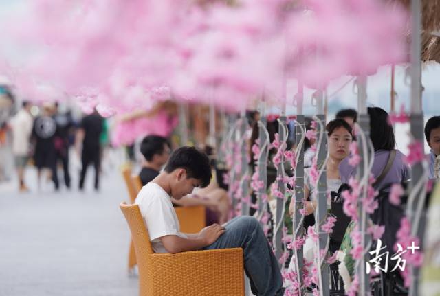 崖口村東堤靠近海岸，成為了熱門打卡休閑地點(diǎn)。