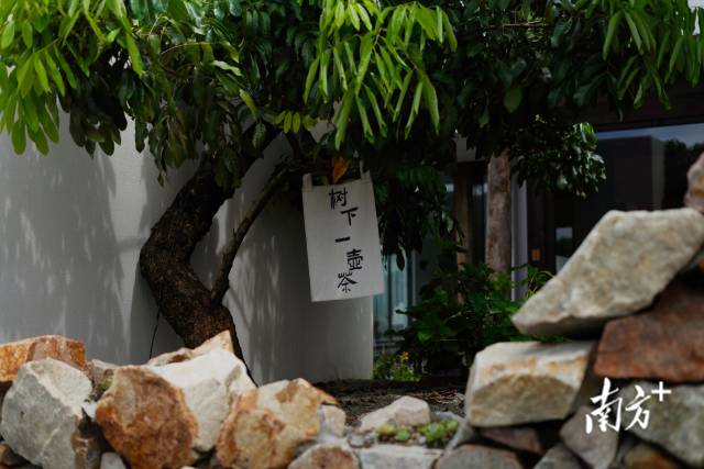 崖口村內(nèi)的文藝民宿。