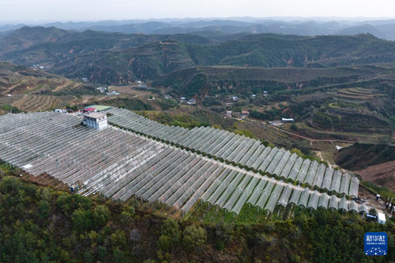 【高質(zhì)量發(fā)展看陜西】“上天”的延安蘋果，蘊(yùn)藏哪些新質(zhì)生產(chǎn)力